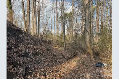 481 Fisher Road, Brevard, NC 28712 - Photo 13