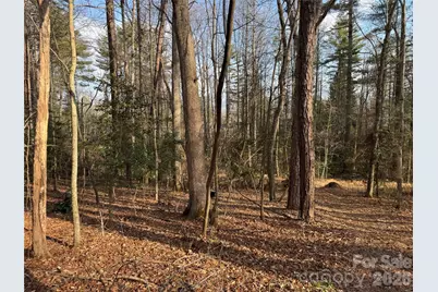 481 Fisher Road, Brevard, NC 28712 - Photo 9