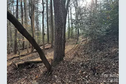 481 Fisher Road, Brevard, NC 28712 - Photo 11