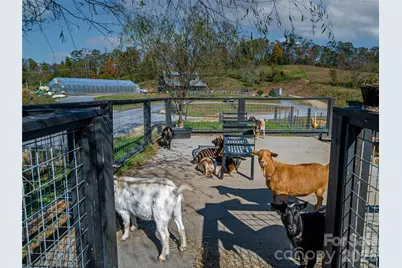 511 Wilma Dykeman Trail, Asheville, NC 28804 - Photo 45