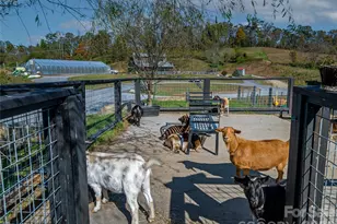 511 Wilma Dykeman Trl, Asheville, NC 28804 - Photo 45