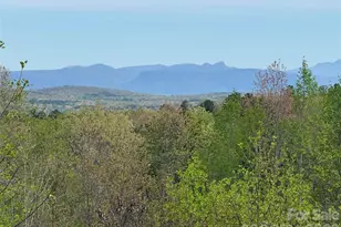 338 Lakeview Trl, Nebo, NC 28761 - Photo 27