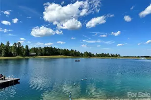 338 Lakeview Trl, Nebo, NC 28761 - Photo 45