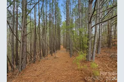 108 Rivercliff Drive W, Connelly Springs, NC 28612 - Photo 11