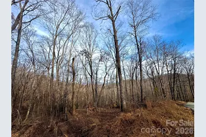 0 Peartree Drive, Lake Lure, NC 28746 - Photo 1