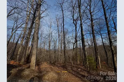 0 Peartree Drive, Lake Lure, NC 28746 - Photo 7