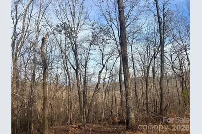 0 Peartree Drive, Lake Lure, NC 28746 - Photo 5