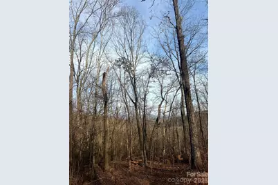 0 Peartree Drive, Lake Lure, NC 28746 - Photo 3