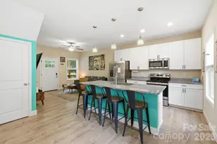 239 Northside St, Canton, NC 28716 - Photo 7