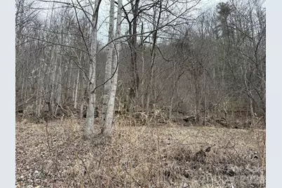 4958 Grapevine Road, Marshall, NC 28753 - Photo 17