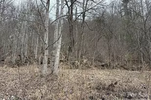 4958 Grapevine Rd, Marshall, NC 28753 - Photo 17