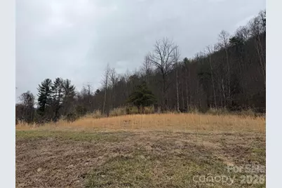 4958 Grapevine Road, Marshall, NC 28753 - Photo 13