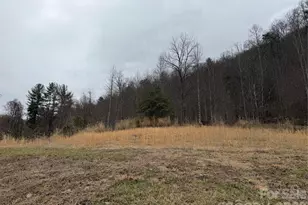 4958 Grapevine Rd, Marshall, NC 28753 - Photo 13