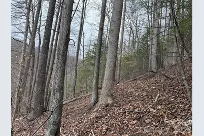 4958 Grapevine Road, Marshall, NC 28753 - Photo 19