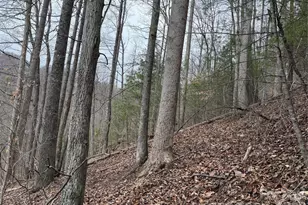 4958 Grapevine Rd, Marshall, NC 28753 - Photo 19