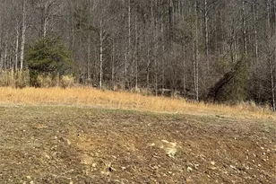 4958 Grapevine Rd, Marshall, NC 28753 - Photo 5