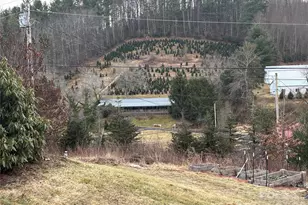 190 Benfield Rd, Crossnore, NC 28657 - Photo 3