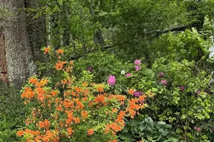 190 Benfield Rd, Crossnore, NC 28616 - Photo 31