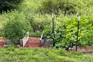 190 Benfield Rd, Crossnore, NC 28616 - Photo 29