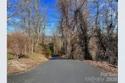174 High Road Overlook None #24, Hendersonville, NC 28739 - Photo 3