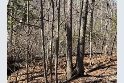 104 Smokehouse Way, Burnsville, NC 28714 - Photo 1