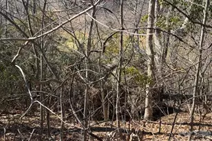 104 Smoke House Wy, Burnsville, NC 28714 - Photo 3