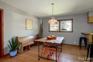 317 Allison Rd, Brevard, NC 28712 - Photo 7