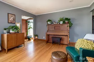 317 Allison Rd, Brevard, NC 28712 - Photo 19