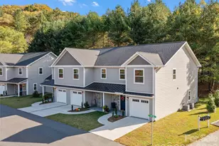 100 Red Twig Ln, Burnsville, NC 28714 - Photo 43