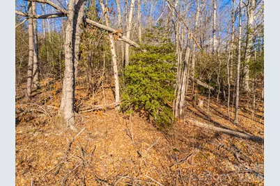 Tbd Mystic View Lane, Black Mountain, NC 28711 - Photo 27