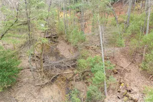 9999 Cedar Hill Dr, Asheville, NC 28803 - Photo 25