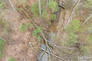 9999 Cedar Hill Dr, Asheville, NC 28803 - Photo 33