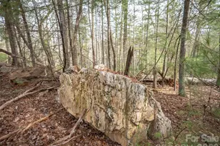 9999 Cedar Hill Dr, Asheville, NC 28803 - Photo 9