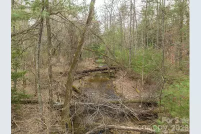 9999 Cedar Hill Drive #12, Asheville, NC 28803 - Photo 29