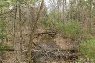 9999 Cedar Hill Dr, Asheville, NC 28803 - Photo 29