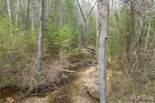 9999 Cedar Hill Dr, Asheville, NC 28803 - Photo 27