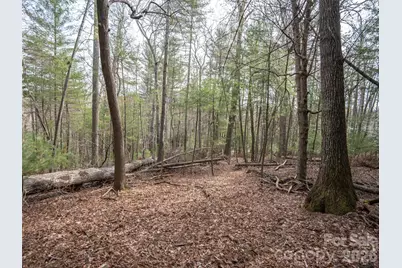 9999 Cedar Hill Drive #12, Asheville, NC 28803 - Photo 11