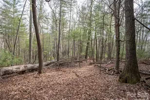 9999 Cedar Hill Dr, Asheville, NC 28803 - Photo 11