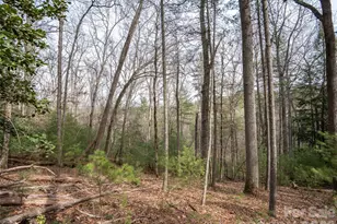 9999 Cedar Hill Dr, Asheville, NC 28803 - Photo 17