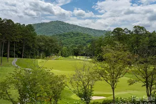 9999 Cedar Hill Dr, Asheville, NC 28803 - Photo 37