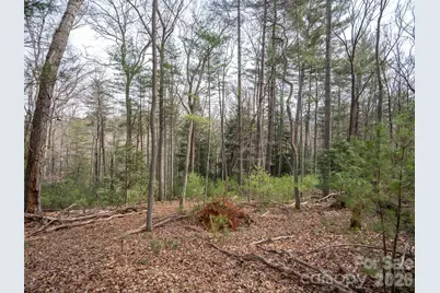 9999 Cedar Hill Drive #12, Asheville, NC 28803 - Photo 15