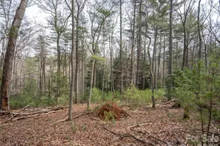 9999 Cedar Hill Dr, Asheville, NC 28803 - Photo 15