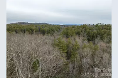 9999 Cedar Hill Drive #12, Asheville, NC 28803 - Photo 31