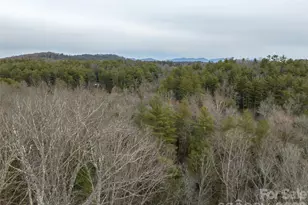 9999 Cedar Hill Dr, Asheville, NC 28803 - Photo 31