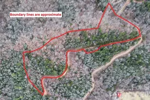 0 Betts Branch Rd, Bryson City, NC 28713 - Photo 3