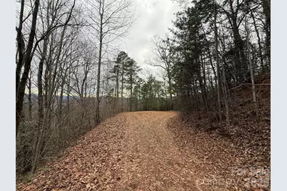 0 Betts Branch Road, Bryson City, NC 28713 - Photo 9