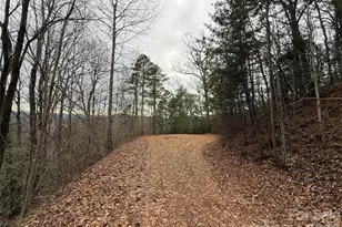 0 Betts Branch Rd, Bryson City, NC 28713 - Photo 9