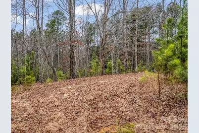 0 River Road, Rutherfordton, NC 28139 - Photo 13