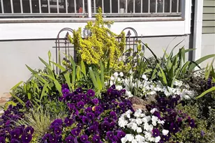 614 Downing Wy, Landrum, SC 29356 - Photo 35