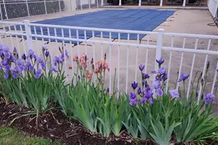 614 Downing Wy, Landrum, SC 29356 - Photo 41